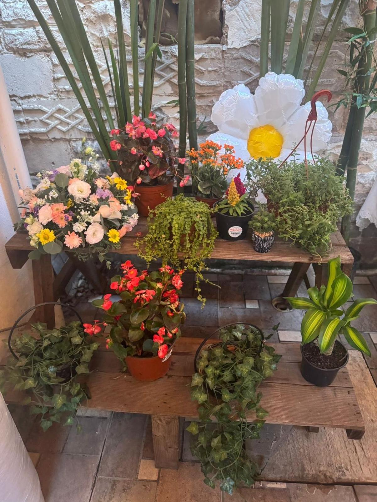 Departamento Centro Historico De Tampico Διαμέρισμα Εξωτερικό φωτογραφία